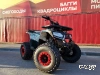 Квадроцикл WELS Thunder 125 E2