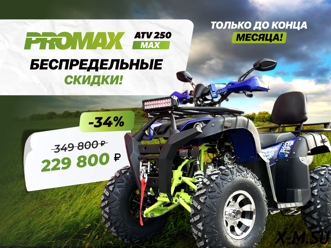 Квадроцикл PROMAX ATV 250 MAX (2025) Квадроцикл PROMAX ATV 250 MAX (2025)