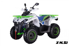 Квадроцикл ROCKOT Hammer 200 Premium