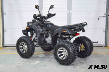 Квадроцикл Grizzly 200